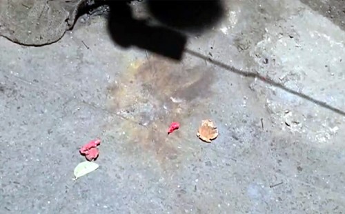 টিএসসিতে ককটেল বিস্ফোরণ, প্রদর্শনী চলাকালীন একজন সামান্য আহত