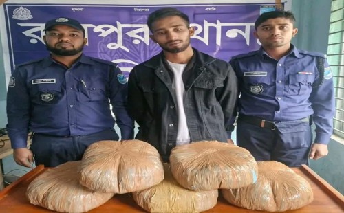 রায়পুরায় ১০ কেজি গাঁজাসহ মাদক ব্যবসায়ী গ্রেফতার