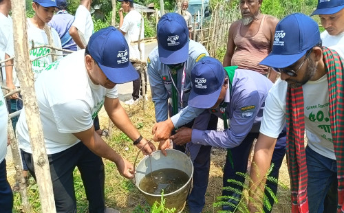 রাঙ্গুনিয়ায় ৫০ হাজার গাছের চারা রোপণ কর্মসূচি শুরু; গ্রীণ রাঙ্গুনিয়ার যাত্রা শুরু; বললেন ইউএনও