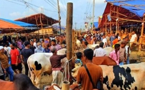 স্থায়ী হাটে কোটি টাকার ইজারা, অস্থায়ী হাটে দরপতনে রাজস্ব শঙ্কায় চসিক